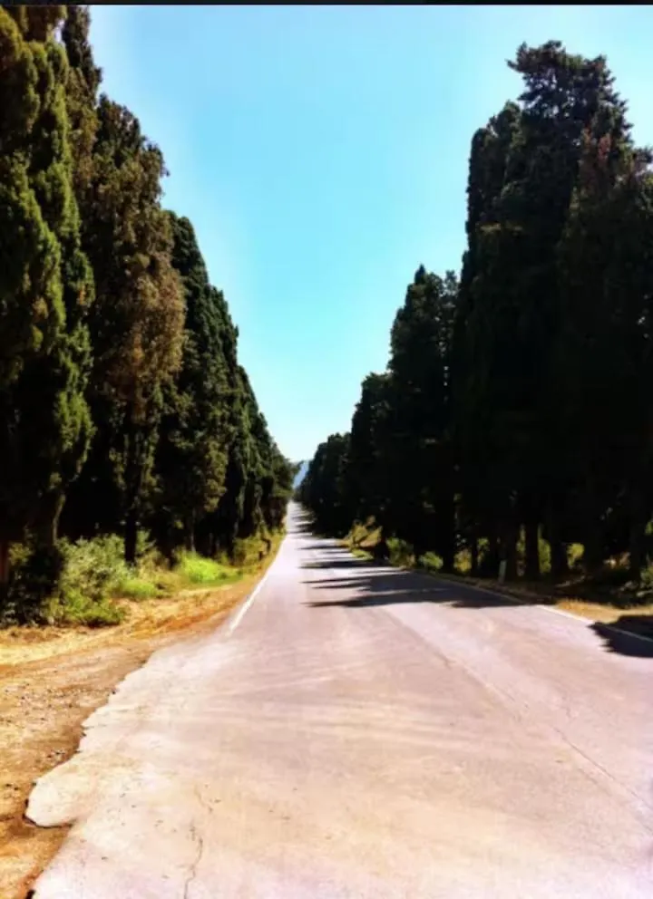 Affittacamere Poggio Ai Due Pini Bibbona
